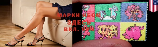 стафф Надым
