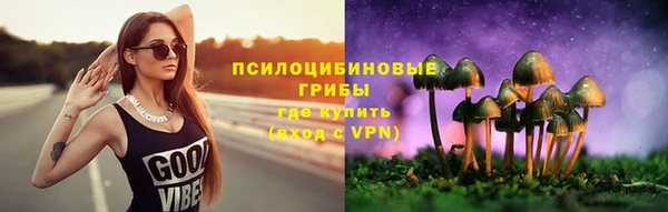 Альфа ПВП Арсеньев