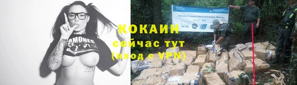 прущие крисы Навашино