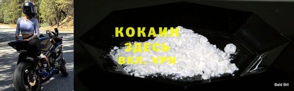 стафф Надым