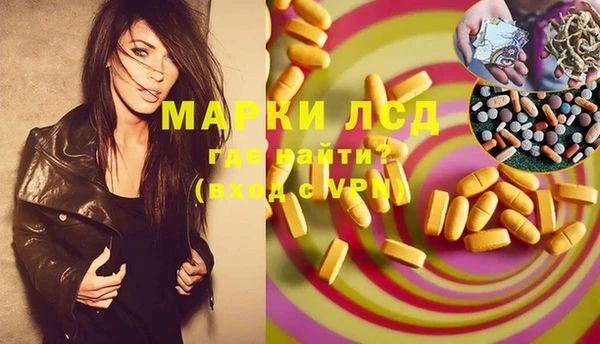 гидра Михайловка