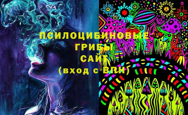 PSILOCYBIN Нефтегорск