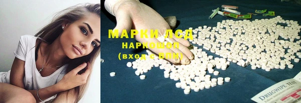 PSILOCYBIN Нефтегорск