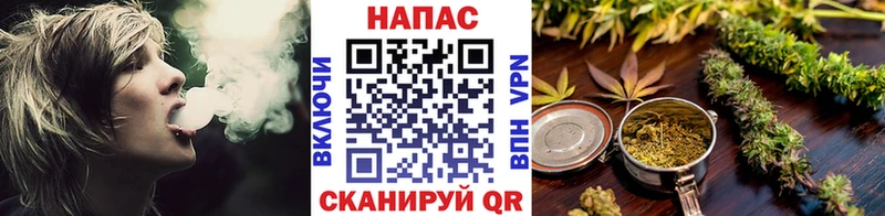 где можно купить наркотик  даркнет телеграм  Конопля сатива  Минусинск 